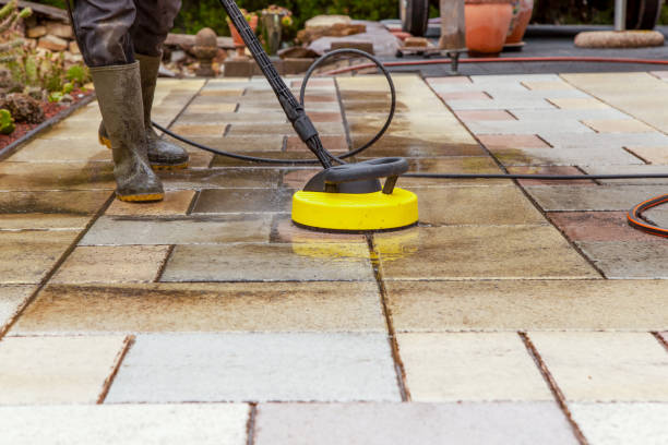 Best Solar Panel Cleaning  in Mila Doce, TX